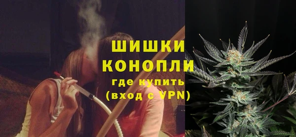 ГАЛЛЮЦИНОГЕННЫЕ ГРИБЫ Рославль