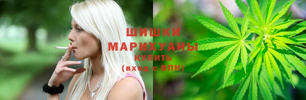 ГАЛЛЮЦИНОГЕННЫЕ ГРИБЫ Рославль