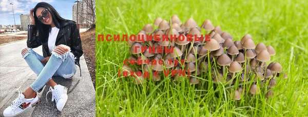 ГАЛЛЮЦИНОГЕННЫЕ ГРИБЫ Рославль